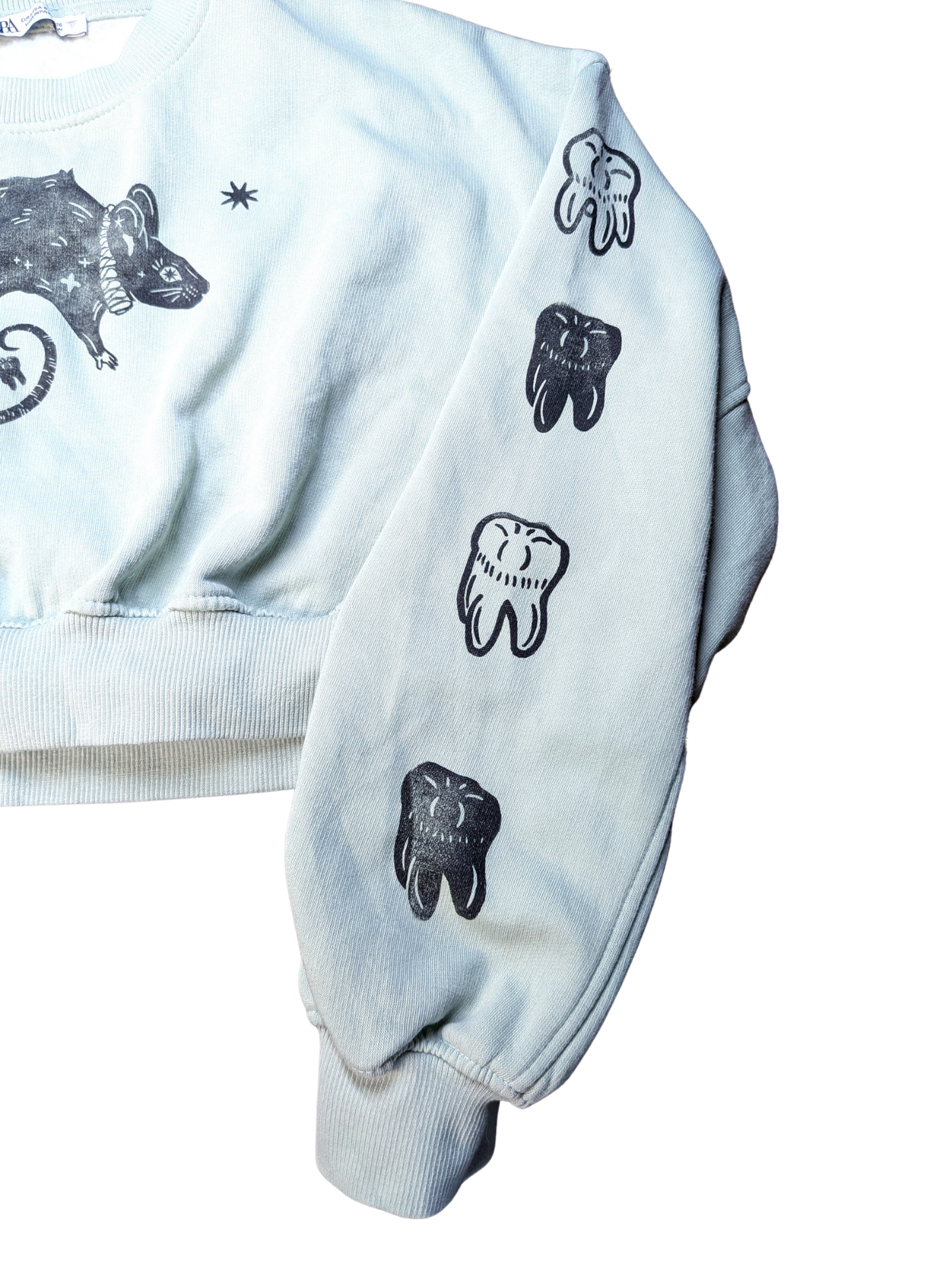 Mint cropped sweatshirt with black Rat & Teeth [S/M]